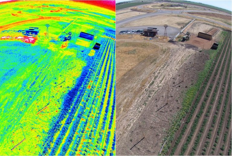 Câmera com sensores RGB e multispectral: conheça as diferenças e as câmeras mais usadas em drones